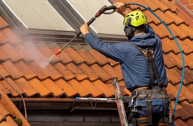 Démoussage et hydrofuge de toiture au Rozier